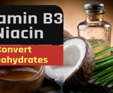 Vitamin B3 Niacin: Convert Carbohydrates