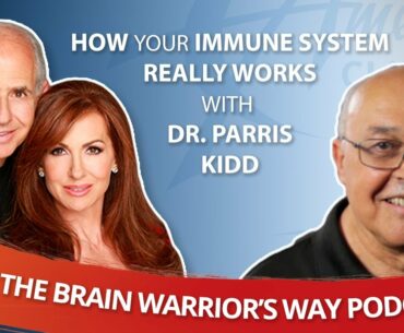 How Your Immune System Really Works, with Dr. Parris Kidd - The Brain Warrior's Way Podcast