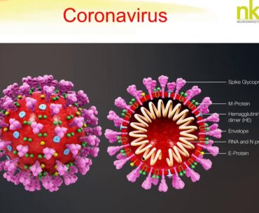 Lockdown Webinar Series Coronavirus, Immunität und Kinesiologie Coronavirus Immunity and Kinesiology