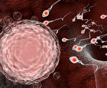 Coronavirus found in men's semen