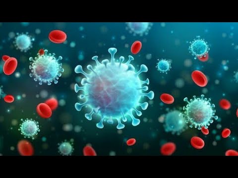 Corona Virus Disease / COVID-19: Sahi aur Galath coronavirus disease ke baare me ( HINDI) - PART 2