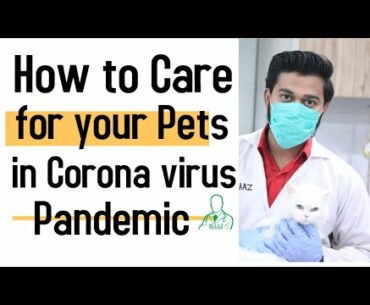 How to care for your pet in corona virus Pandemic ? | Pets care in Pandemic