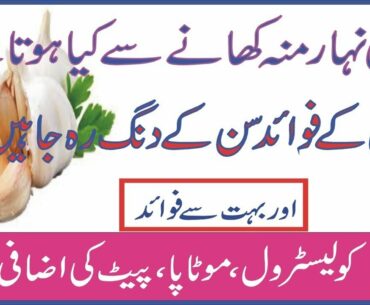 lehsan ke fayde/lehsan ke faide/lehsan ke fawaid| Bp| augar| chelstrol| By My Health Clinic