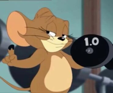 Tom and Jerry Cartoons Funny Cartoon Going Gym