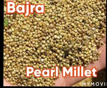 Bajra nutritional facts