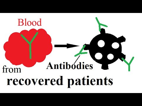 Enormous promise for coronavirus: Antibodies from recovered patients’ blood