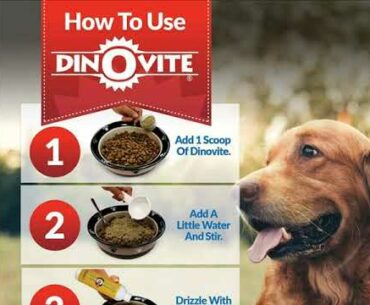 Dog Supplement - Immune + Digestive, Skin + Coat Support, Vitamins, Minerals, Omega 3, Enzymes