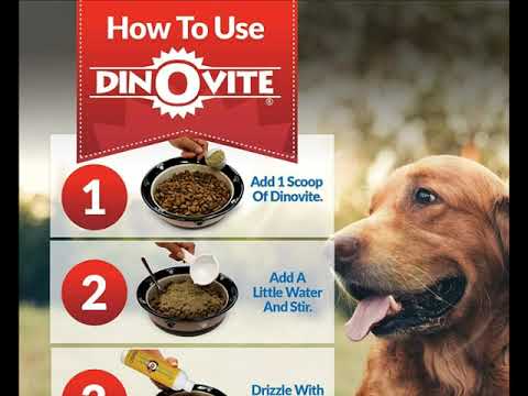 Dog Supplement - Immune + Digestive, Skin + Coat Support, Vitamins, Minerals, Omega 3, Enzymes