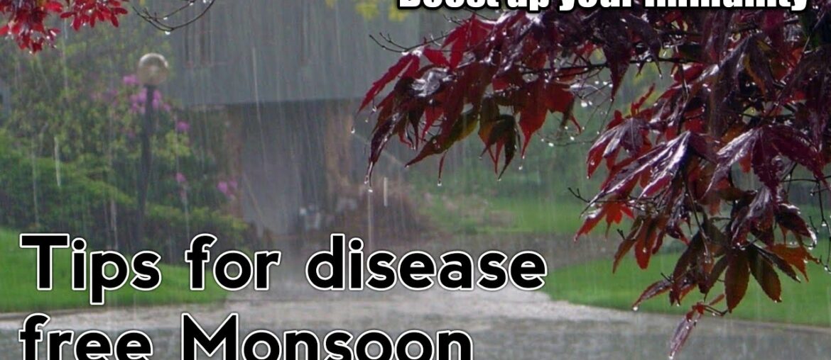 How to boost our immunity in  Monsoons/ stay protected from diseases/Improve your immunity