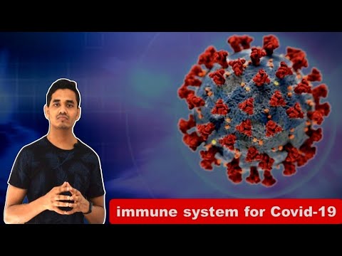 immune system for COVID-19 (HINDI) info by |F&Fi|