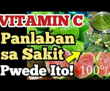 VITAMIN C - Guava Panlaban Sa Sakit /w travel #01