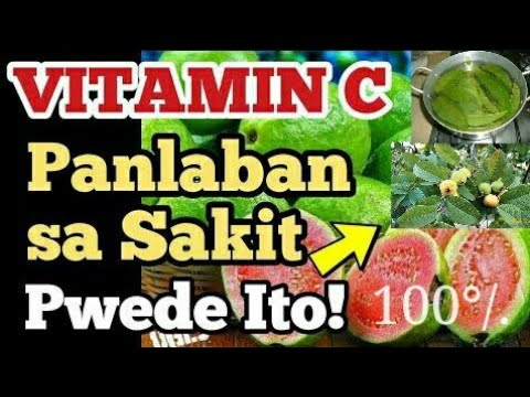 VITAMIN C - Guava Panlaban Sa Sakit /w travel #01