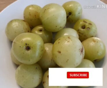 Amla(Nelli) Juice for Hair & Skin ~Amla for Immunity~ Healthy benefits Drink~Weight Loss