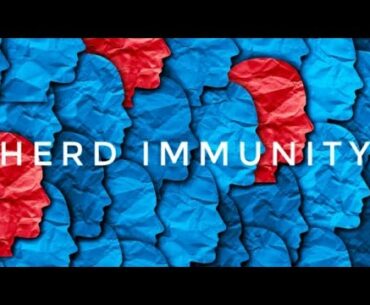 COVID19 (Coronavirus) in Tamil Nadu - Will HERD IMMUNITY be the saviour?