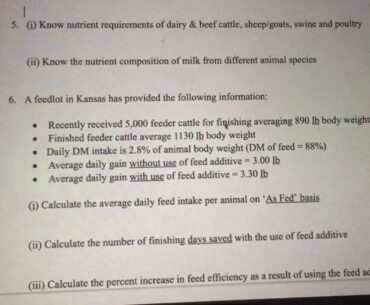 Animal Nutrition final review part B