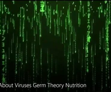 The Truth About Viruses Germ Theory Nutrition