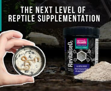 The ULTIMATE Vitamin Supplement for Reptiles. EarthPro-ReVitaliseD3