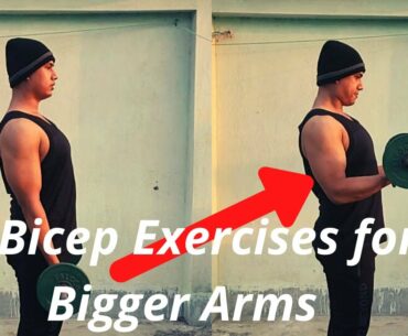 4 Bicep Exercise for Bigger Arms (Don't Skip These)