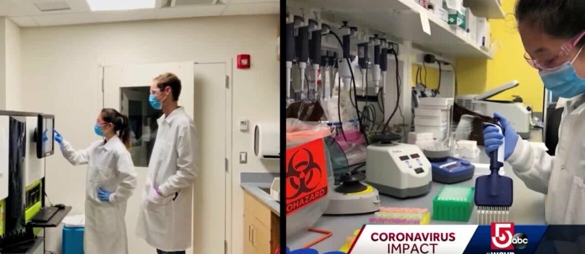 Mass. doctors making progress toward more sensitive coronavirus antibody test