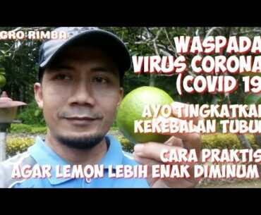 WASPADA VIRUS CORONA (COVID19), AYO TINGKATKAN KEKEBALAN TUBUH KITA DENGAN KONSUMSI VITAMIN C