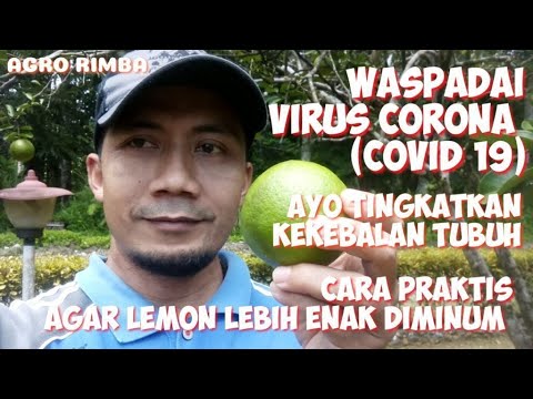 WASPADA VIRUS CORONA (COVID19), AYO TINGKATKAN KEKEBALAN TUBUH KITA DENGAN KONSUMSI VITAMIN C