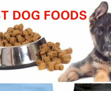 BEST DOG FOOD & SUPPLEMENT FOR PETS