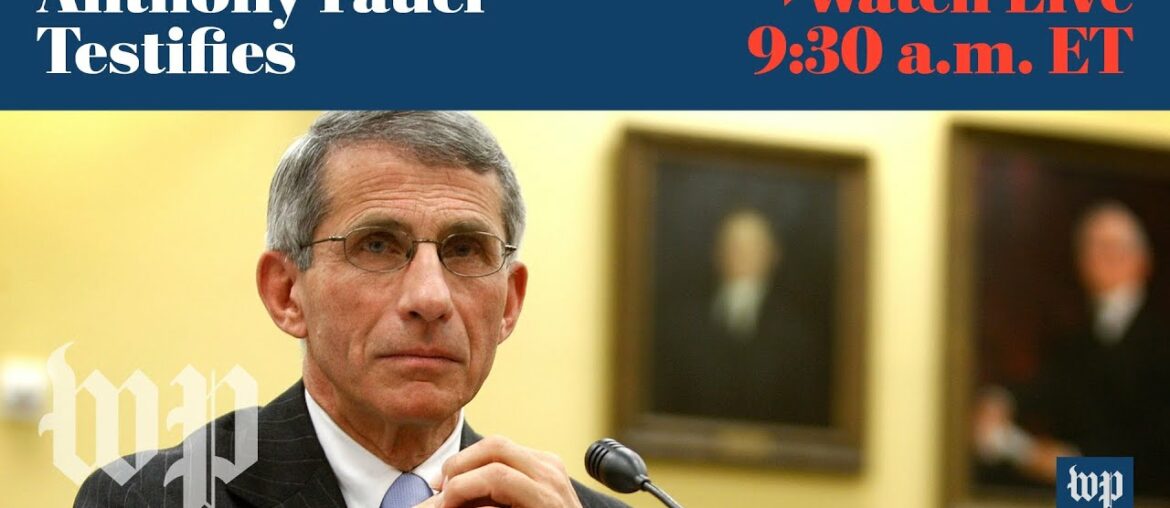 Anthony Fauci testifies at Senate coronavirus hearing   - 5/12 (FULL LIVE STREAM)