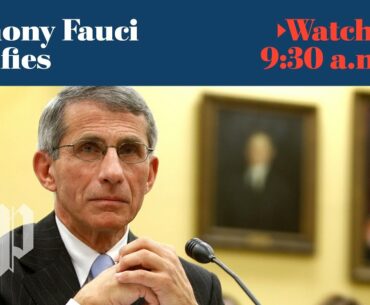 Anthony Fauci testifies at Senate coronavirus hearing   - 5/12 (FULL LIVE STREAM)