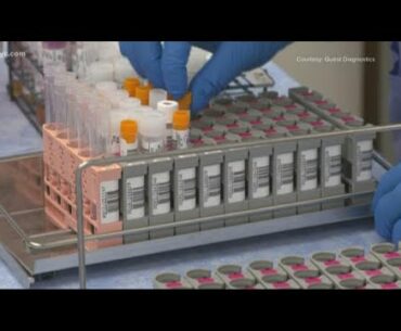 3News Investigates: Can COVID-19 antibody tests guarantee immunity?