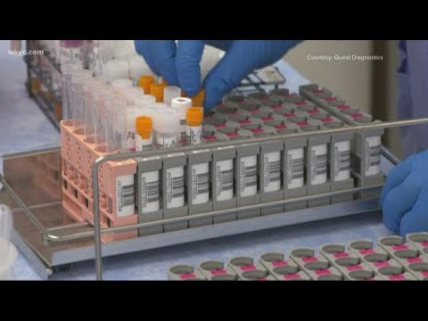 3News Investigates: Can COVID-19 antibody tests guarantee immunity?