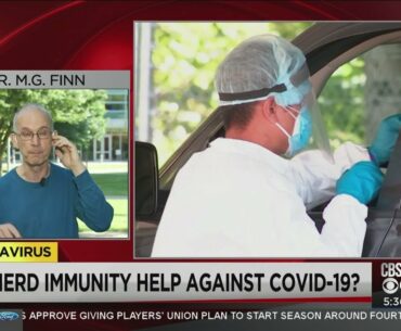 Dr, M.G. Finn discusses Covid-19 immunity