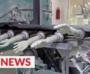 Covid-19: World's biggest glove maker has its hands full
