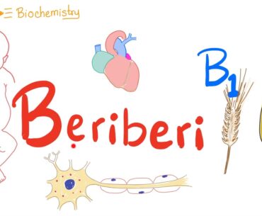 Beriberi | Vitamin B1 Deficiency