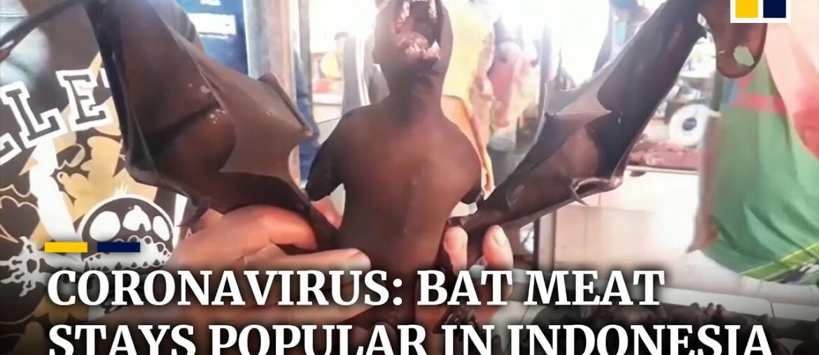 Bat meat remains popular in Indonesia despite coronavirus fears