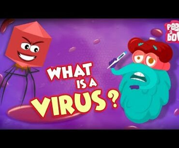 What Is A Virus ? | Best Learning Videos For Kids | Dr Binocs | Peekaboo Kidz