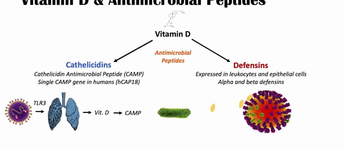 Vitamin D, Immune System & SARS-CoV-2 (COVID-19); Mechanism of Vit D Immune Regulation & Overview