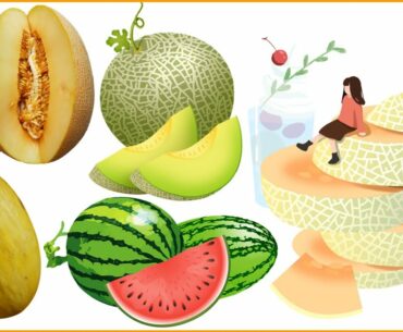 Are Melons Good for Trying to Lose Weight? | Top 3 Reasons Why Melons Help You Lose Weight