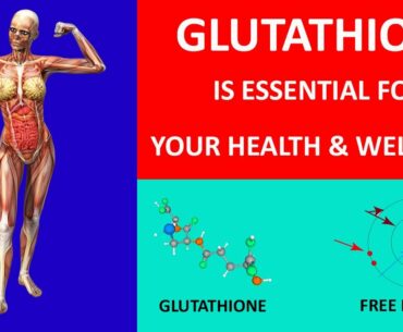 Glutathione, An Essential Antioxidant For Enhancing Your Health And Wellness (Functional Medicine)