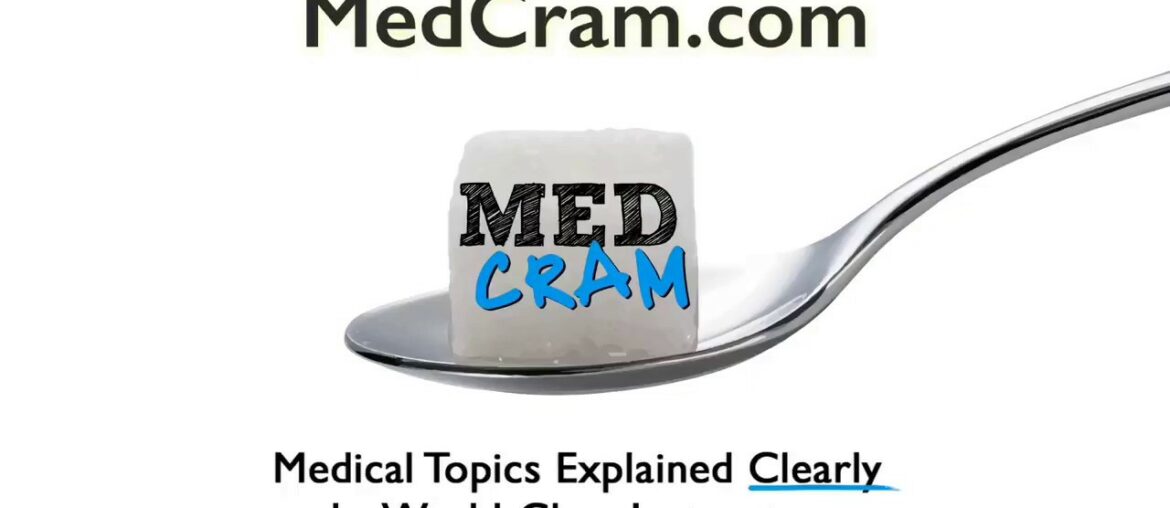 MedCram Update 59: Dr. Seheult's Daily Regimen (Vitamin D, C, Zinc, Quercetin, NAC) Burmese Dubbed