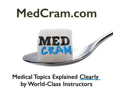 MedCram Update 59: Dr. Seheult's Daily Regimen (Vitamin D, C, Zinc, Quercetin, NAC) Burmese Dubbed