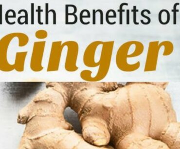The Amazing and Mighty Ginger What’s in Ginger Exactly? A Closer Look at Its Nutrition Facts
