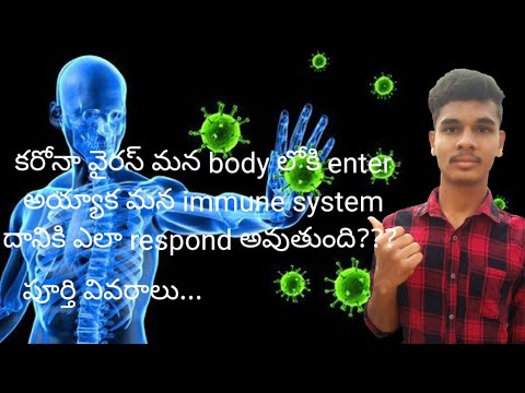 Immune system responce against corona virus,  when virus enters into the body.