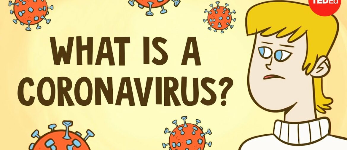 What is a coronavirus? - Elizabeth Cox