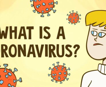 What is a coronavirus? - Elizabeth Cox