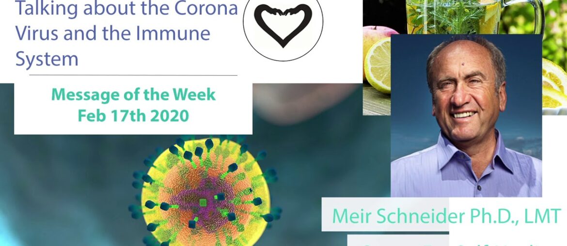 Meir talks about the Corona Virus and the Immune System