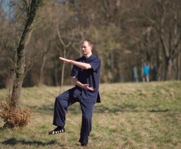 Dragon Qi Gong for your Immune System - Best Form Against Corona Virus!