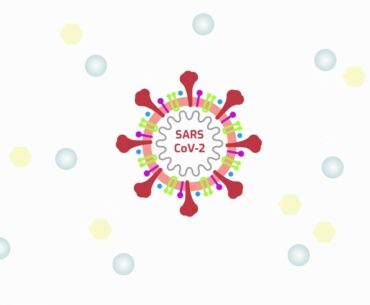 Covid19: How to coat SARS-CoV-2 and create immunity