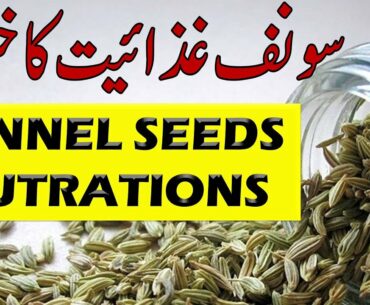 How Much Nutrition In Fennel Seeds In Hindi Urdu | Does Fennel Seeds Water For Weight Loss In Urdu