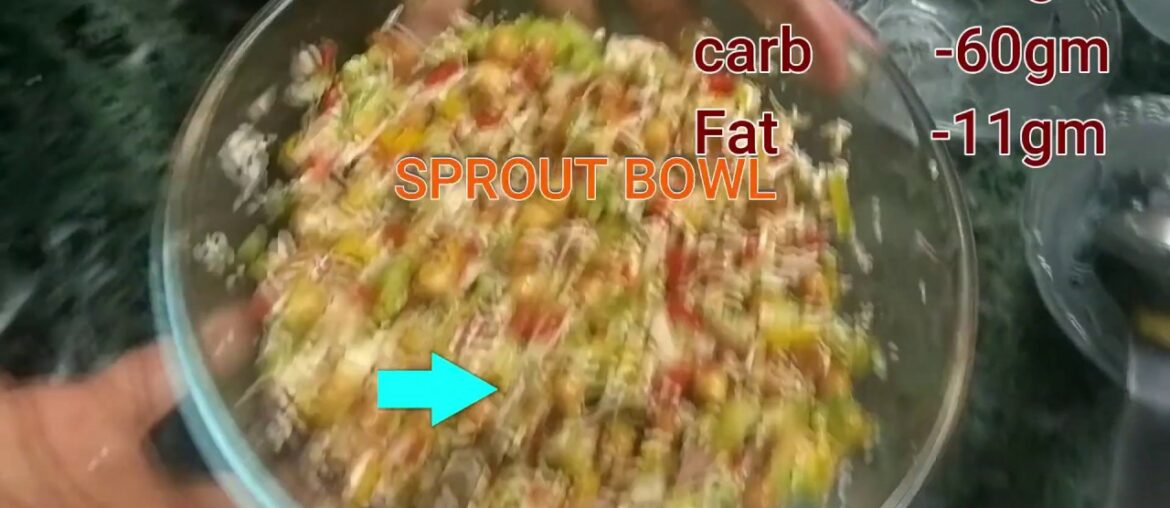 SPROUT Protein BOWL [ 30gm Protein,60gm Carb,17gm Fat] ||Only veg||