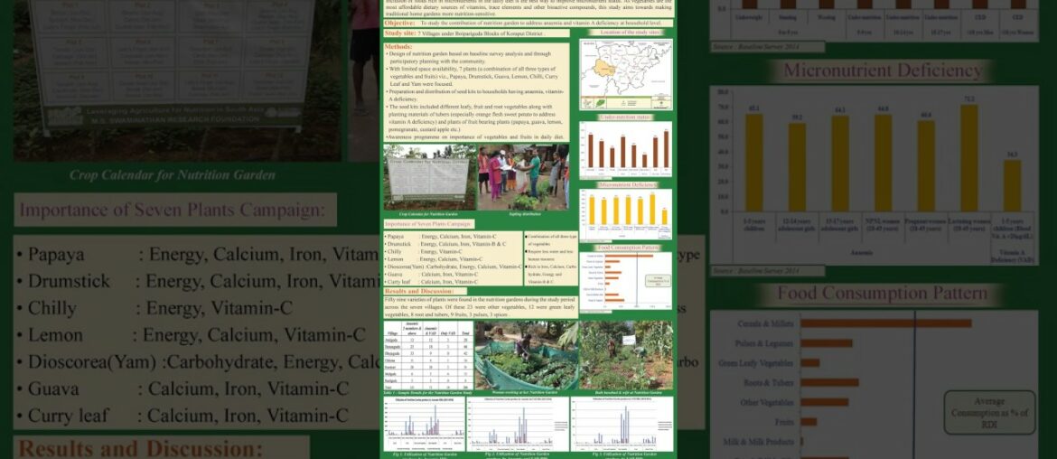 Addressing anaemia & vitamin A deficiency through household nutrition gardens in Koraput, Odisha